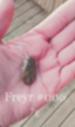 Thumbnail: Freyr (Fertility)