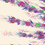 Thumbnail: Every Bird: Brisbane