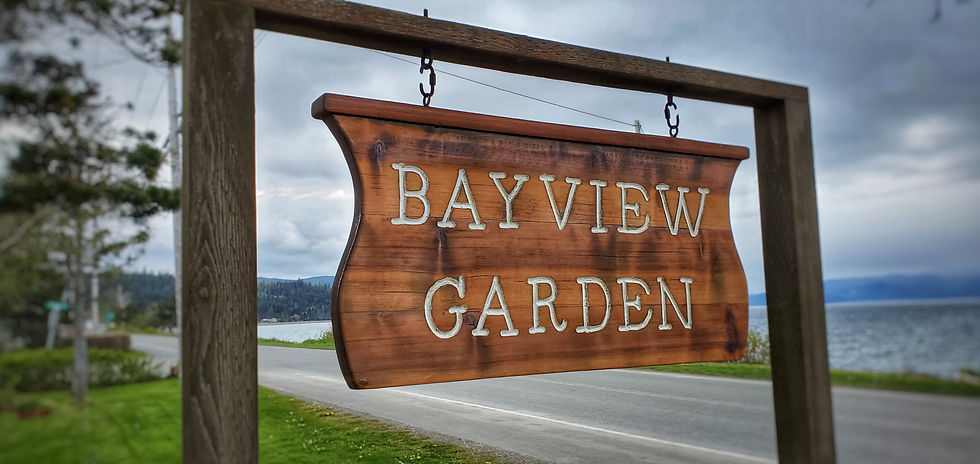 the sign