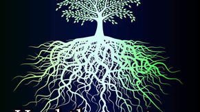 Heal the ROOTS