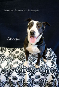 DSC_0083_edited-1 copy_edited-1