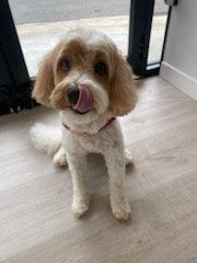 418867247_1161399478564937_8912966988707316062_n