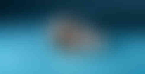 Cadola Slipstream Black