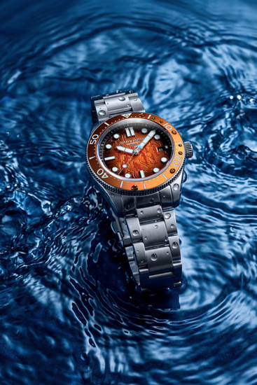 Spinnaker Croft Dolphin Project The Watch Brief Jilliano