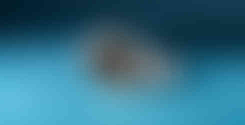 Cadola Slipstream Grey