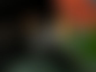 Cadola Slipstream by Dang Horology