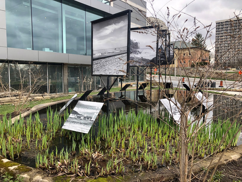 London Public Art Tour - As the Crow Flies