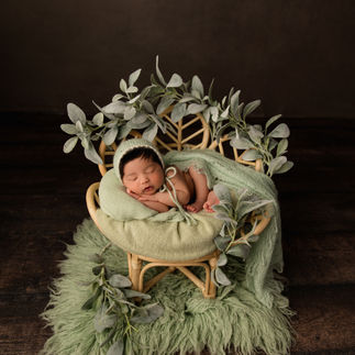 Newborn baby posed in chair with eucalyptus 