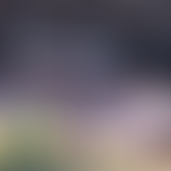 Grosser Erfolg mit der «Hero»