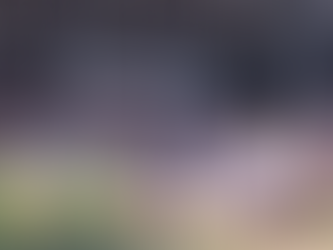 Grosser Erfolg mit der «Hero»