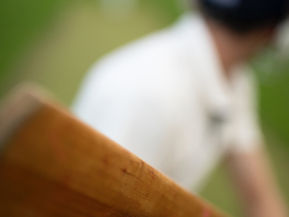 The Cricket Mania