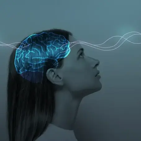 Conexões entre Direito e Neurociência