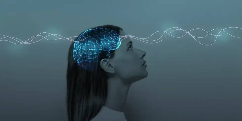 Conexões entre Direito e Neurociência