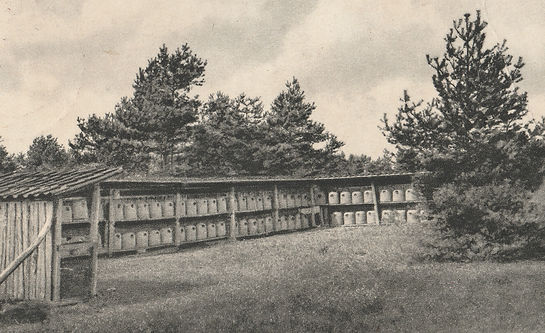 Beekeeping on Heide.jpg