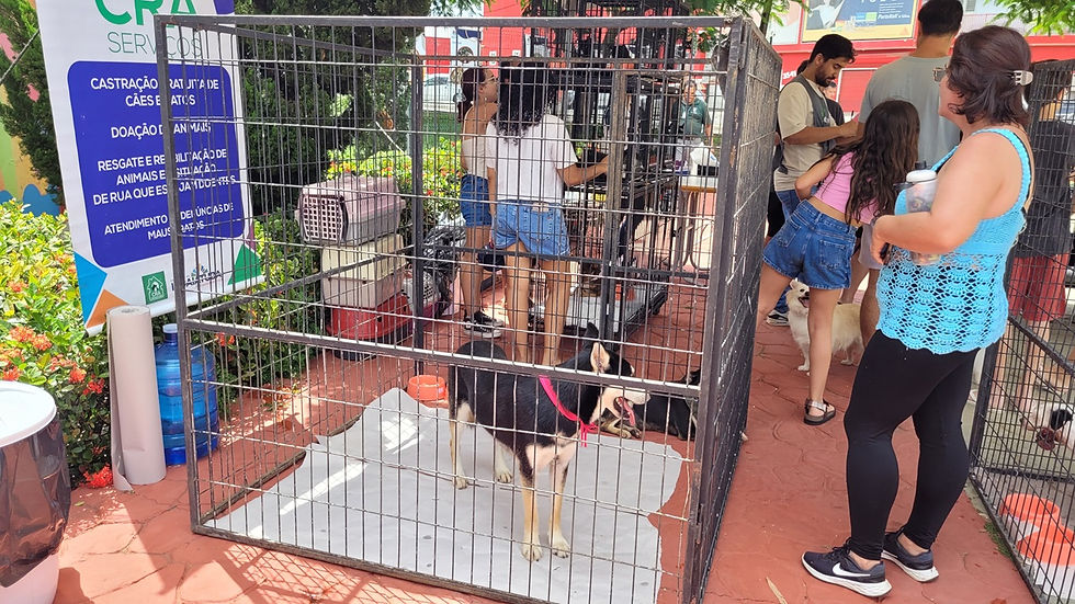 Ação acontece no Parque Residencial Sabiás, sábado das 8h às 16h