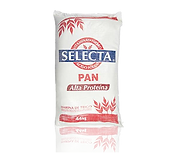 Selecta web.png
