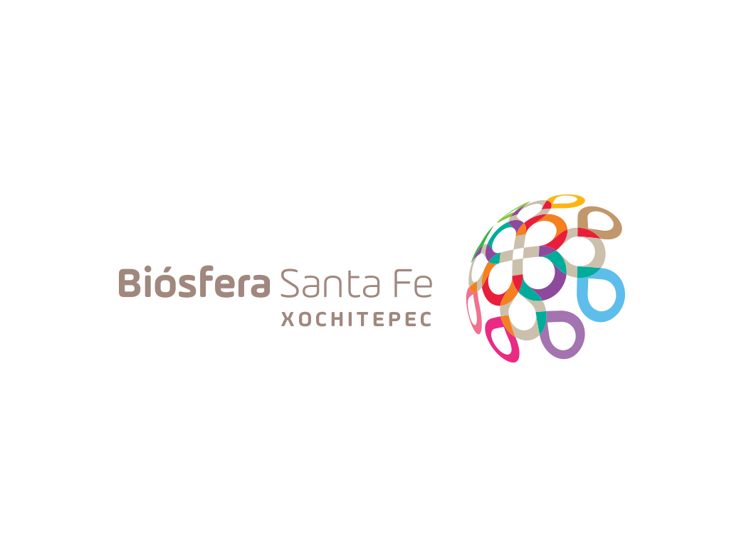 Creación de nombre e identidad