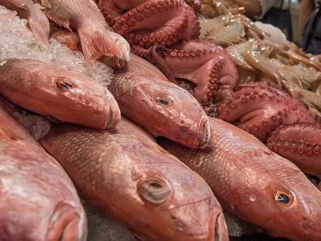 Aumenta consumo de pescados y mariscos en México
