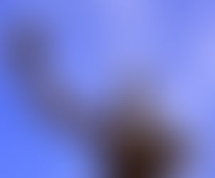 Aracaju e sua tragédia central 