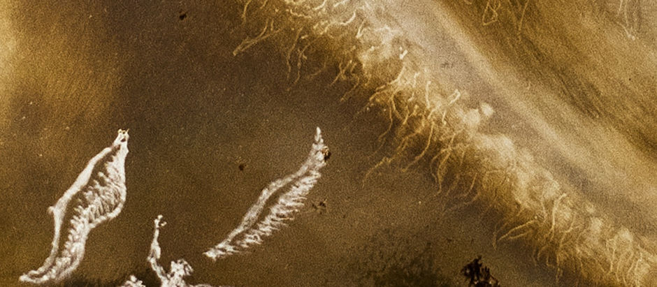       Antônio da Cruz e o Holoesgrafito