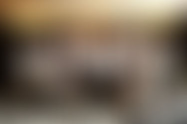 Firefly, Bangkok: In the Glow of Light,  In Pursuit of the Firefly