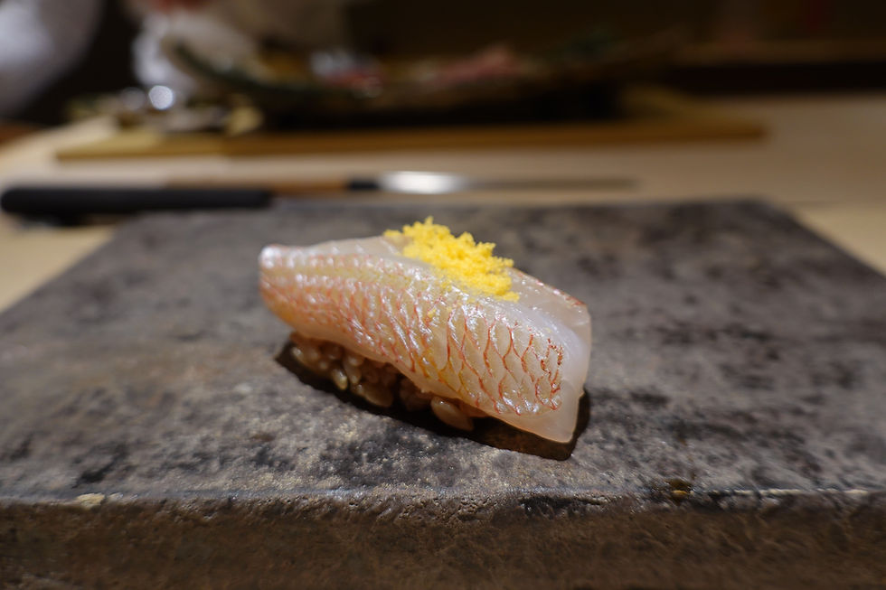 Jikasei B