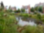 Loftus Gdn Village 2022 #4
