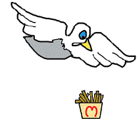 zen-mouette.gif