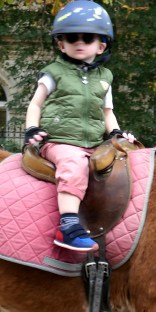 H poney.jpg