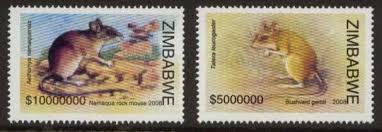 TS Infl Zimba.jpeg