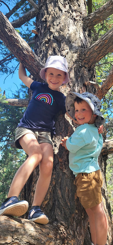 Two children climbing a tree. Both kids are smiling and happy. 