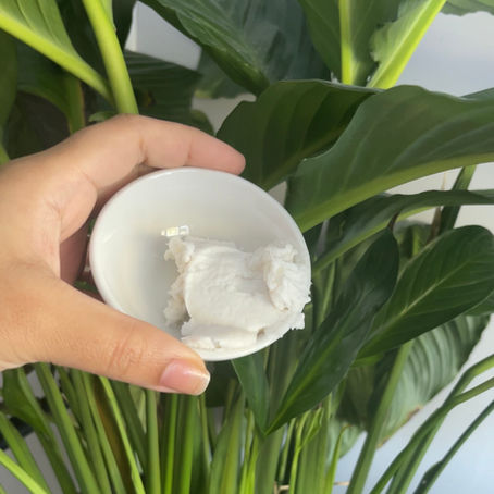 DIY Body Butter Recipe Essential Ingredients for Ultimate Moisture