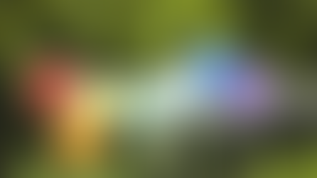 以色列仍位列全球幸福指数前十