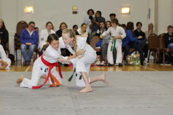 Groundfighting