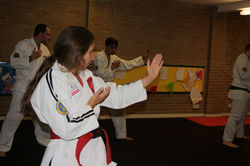 Weapons & Katas NKJJK