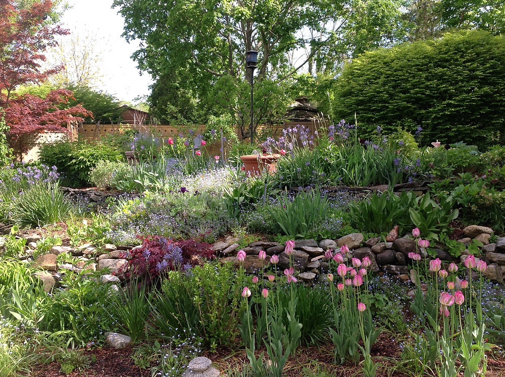 A local garden we tend