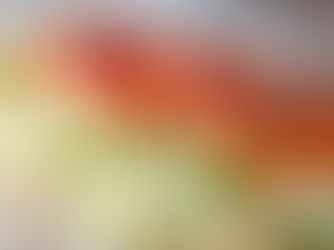 Turmeric Spiced Tuna Sandwich