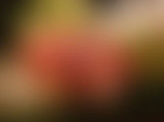 Restaurante Nikkei 225, Madrid