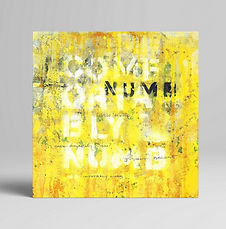 Comfortably Numb