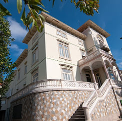 Still Focus Photography