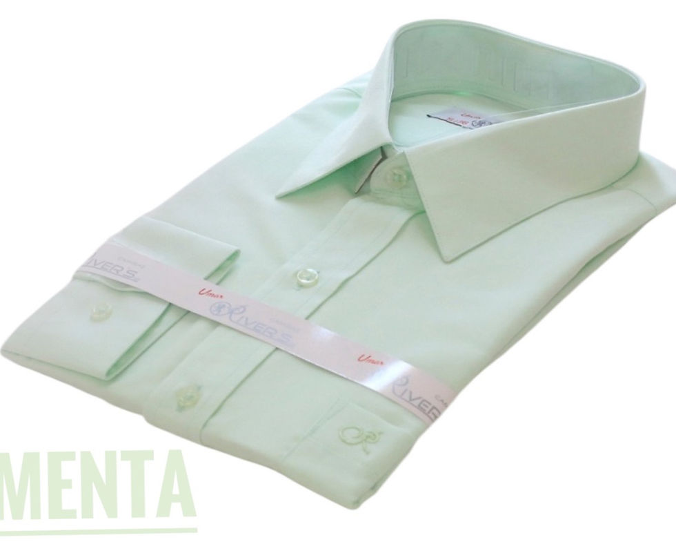 Miniatura: CAMISA VESTIR MENTA