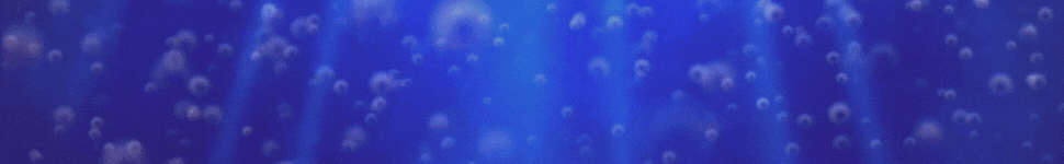 BANNER SITE ESTREIA.gif