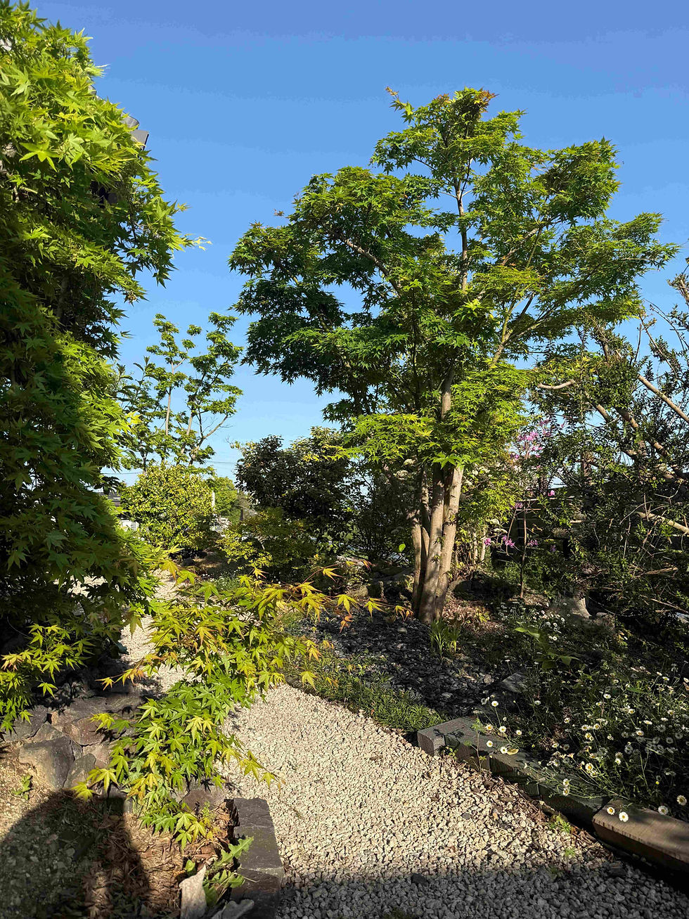 最初に庭を作るとその時はお金はかかるが、得られるものも大きい!