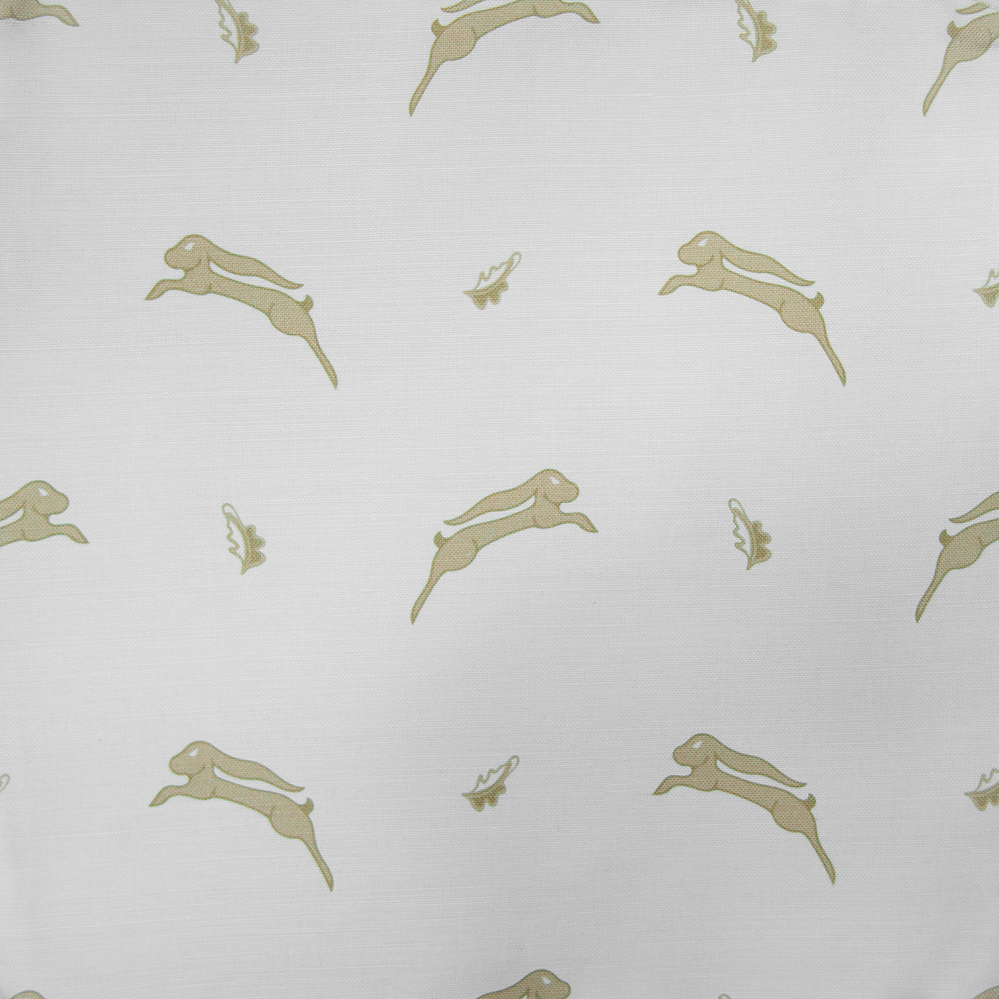 Whimsical Hare: Buttercream