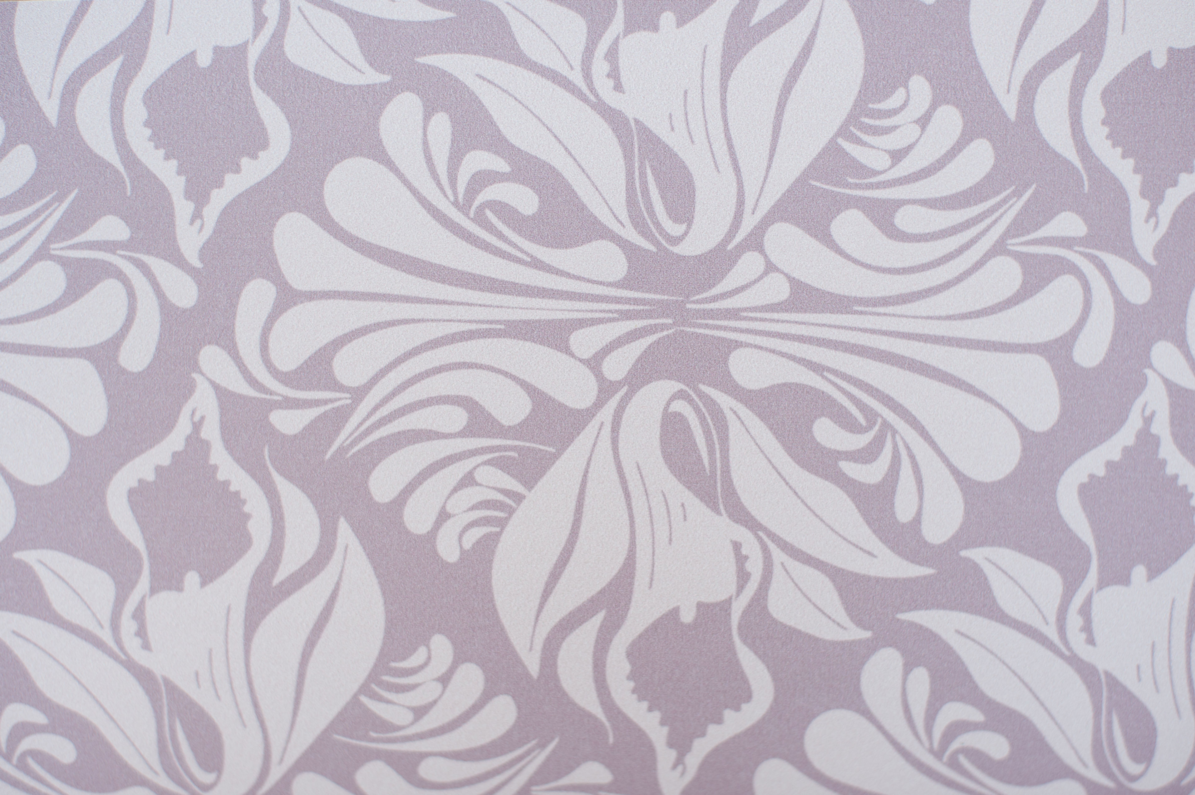Willis Bloom Calla Lily wallpaper in Lavender