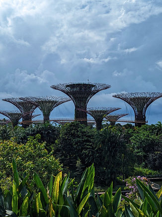 Gardens by the bay
