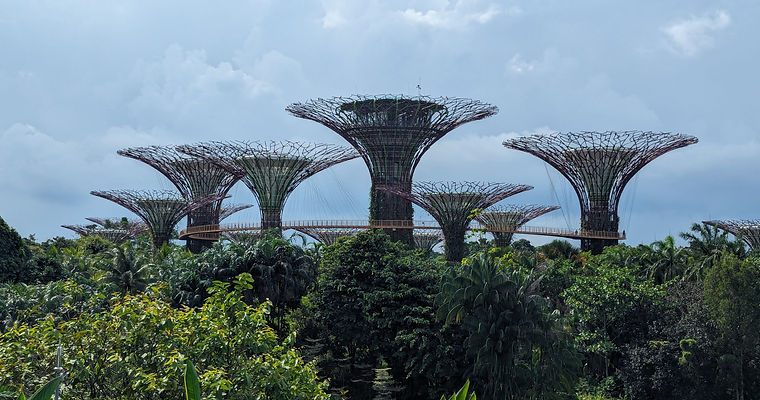 Gardens by the bay