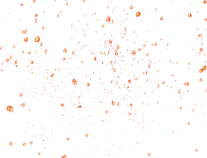 297415733208211.png