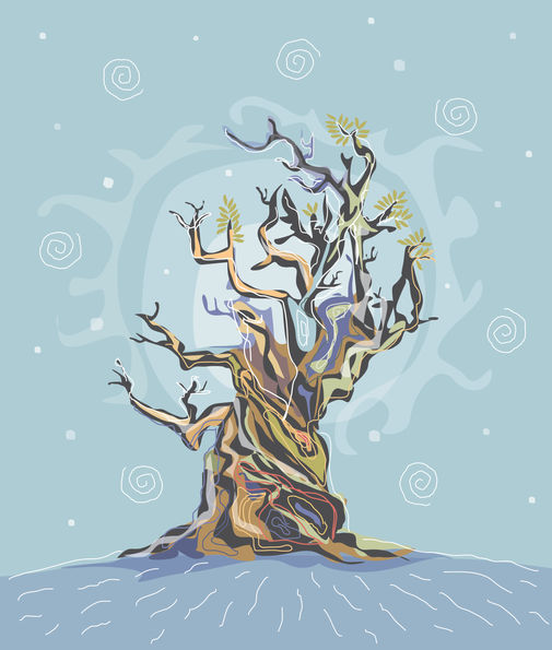 The world’s oldest living tree bristlecone pine—timeless nature art by Charles Bongers symbolizing endurance and life. Perfect for editorial, educational, and commercial use.