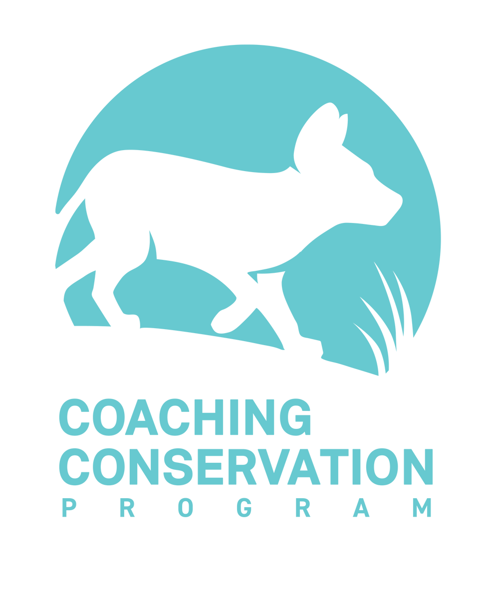 CC program LOGO.png